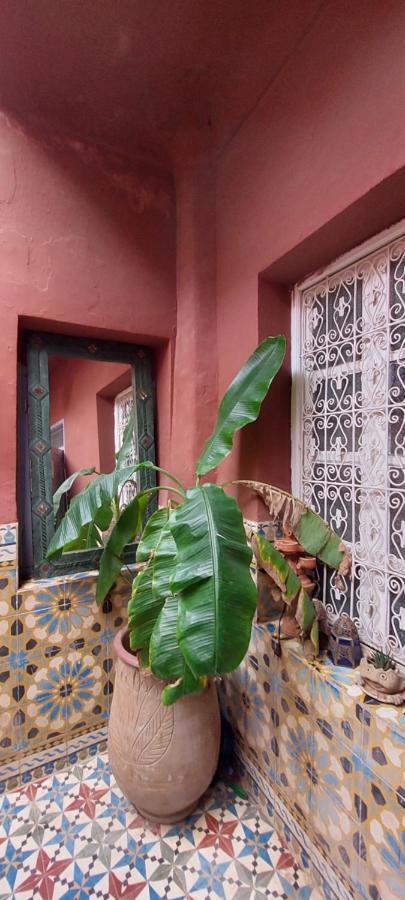 Riad Kainos Marrakesh Exteriör bild
